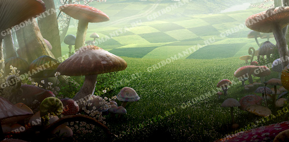 Классификация грибов